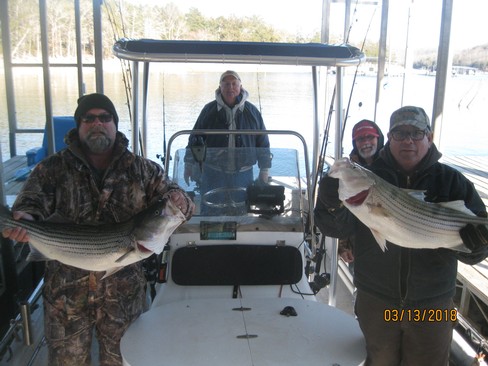 Nice Striped Bass